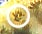 cb-i-abc-new-b.JPG (4969 oCg)