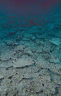 cb030712m1.jpg (46410 oCg)