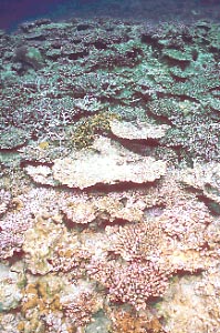 cb0521m1.jpg (35429 ???)