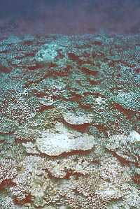 cb0708m1.jpg (32466 oCg)