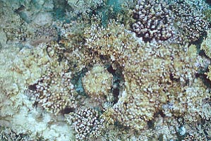 cb0708m2.jpg (36437 oCg)