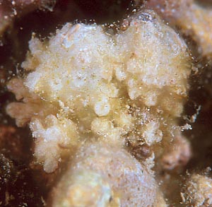 cb0708mn1.jpg (27199 oCg)