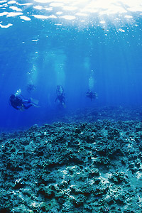 cb080316m1.jpg (56216 oCg)