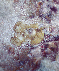 cb090821ma2.jpg (29551 ???)