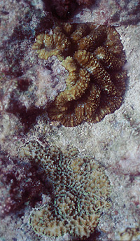 cb090821mc2.jpg (49036 ???)