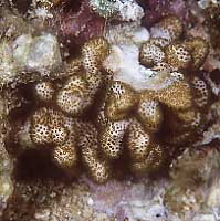 cb1826mn15-2.jpg (20415 oCg)