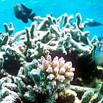 soc3e-n3.jpg (20721 oCg)