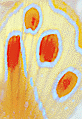 Aurora CF B.GIF (8381 ???)