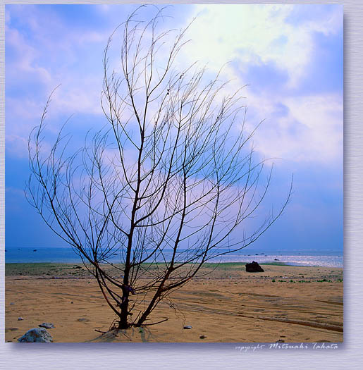 hf-i-l006.jpg (78345 oCg)